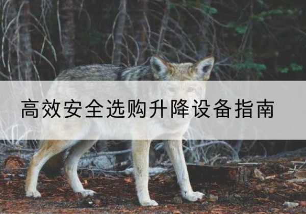 天山升降货梯厂家推荐-*安全选购升降设备指南