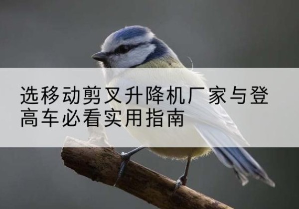 天山电动升降机厂家-选移动剪叉升降机厂家与登高车必看实用指南