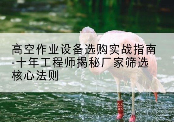 天山剪叉式升降机厂家-高空作业设备选购实战指南-十年工程师揭秘厂家筛选核心法则